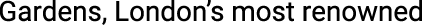 Polygon